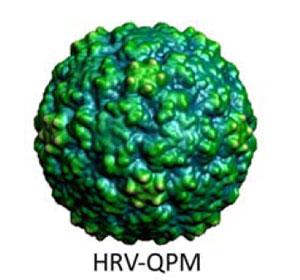 HRV QPM
