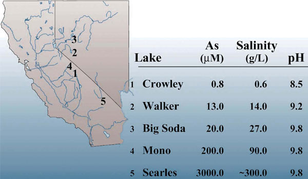 Щелочные озера в Калифорнии